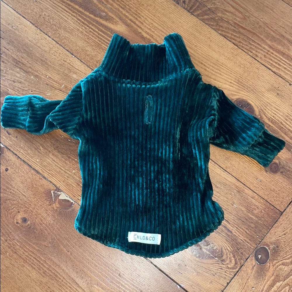 Green Dog Sweater with Ribbed Knit and Turtleneck